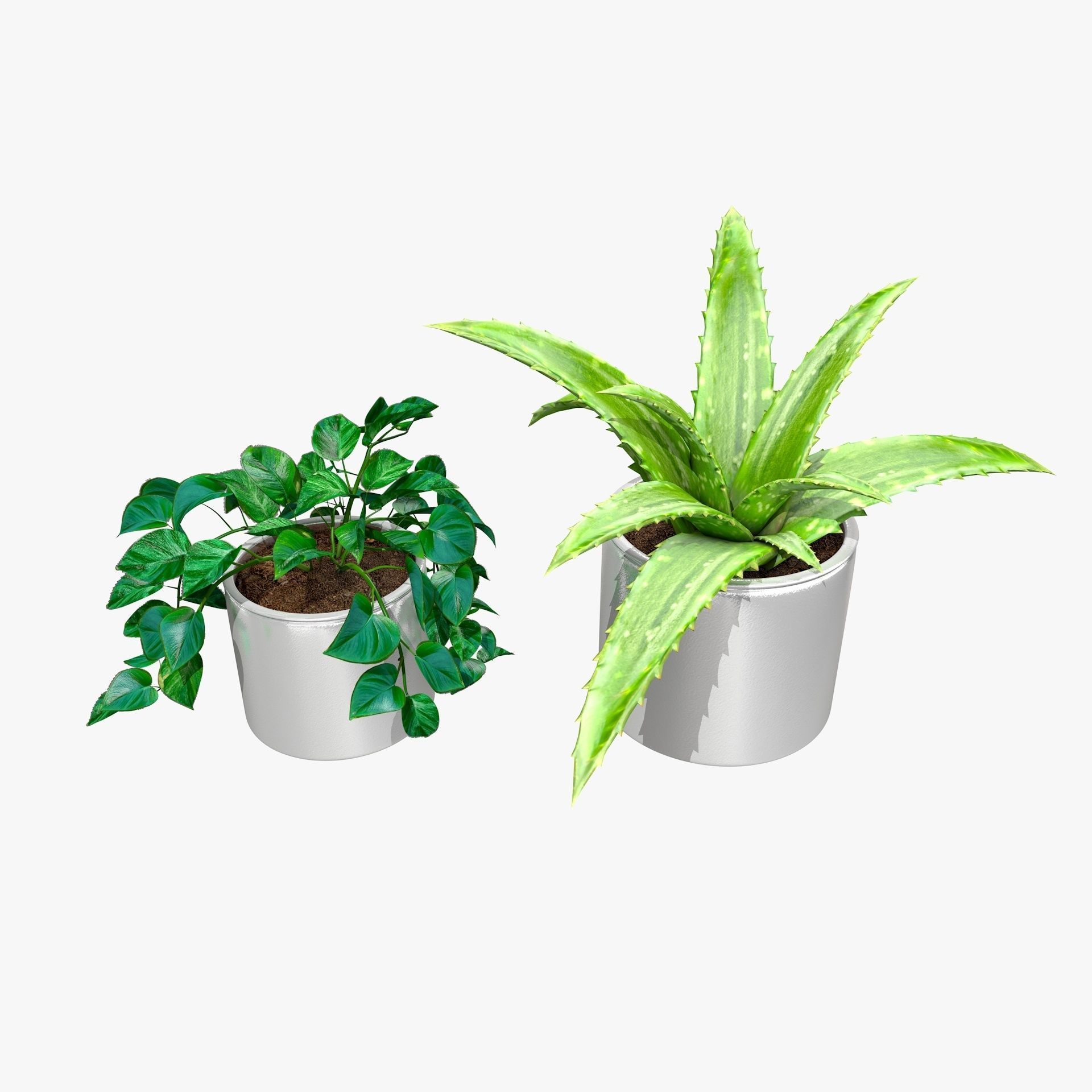 Interior Plants Aloe Vera Pothos Money Plant Pot Low-poly 3D model_5