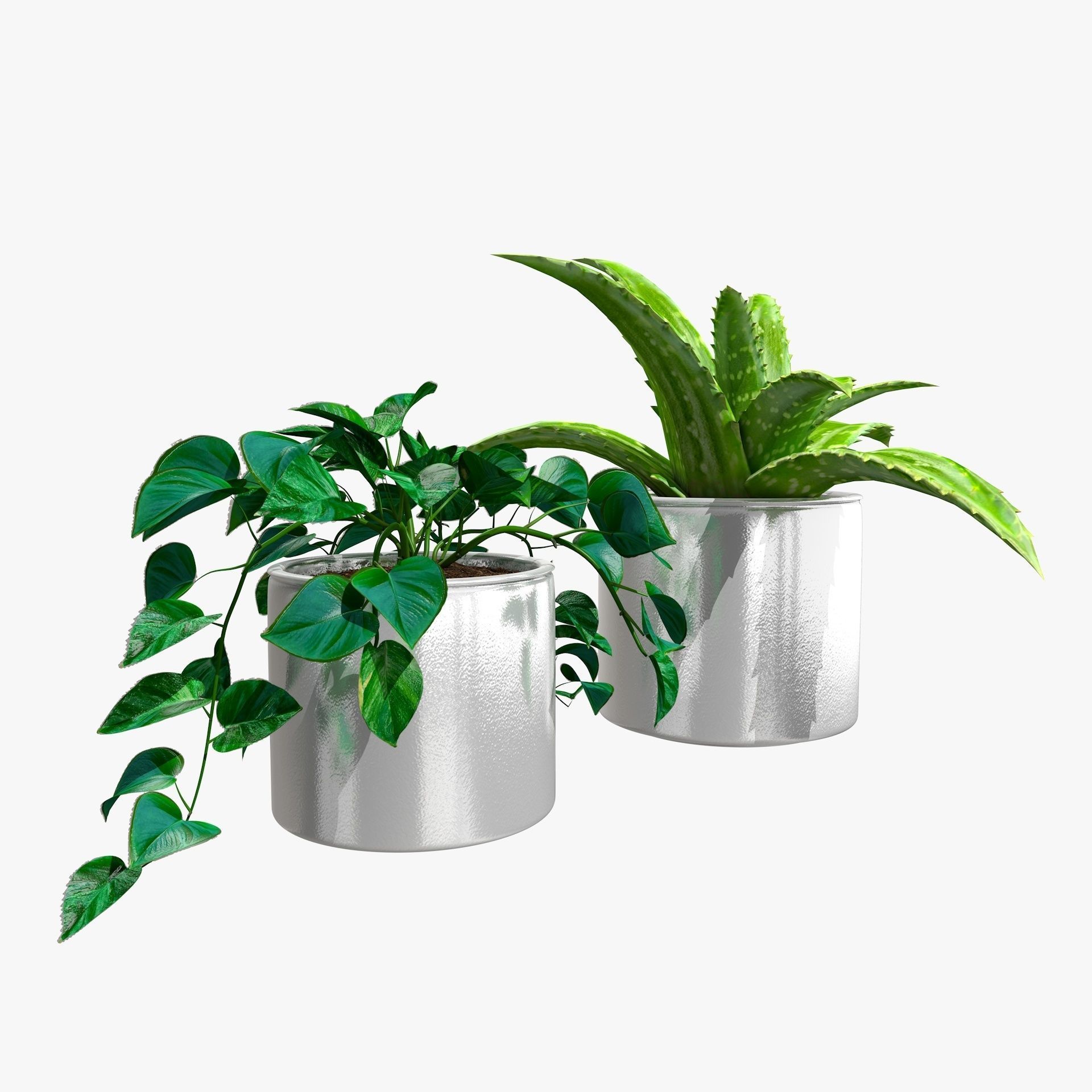 Interior Plants Aloe Vera Pothos Money Plant Pot Low-poly 3D model_14