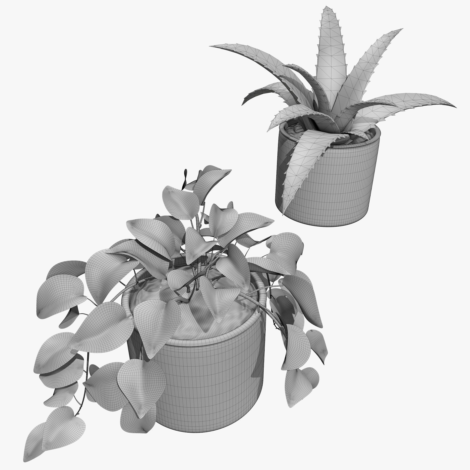 Interior Plants Aloe Vera Pothos Money Plant Pot Low-poly 3D model_18