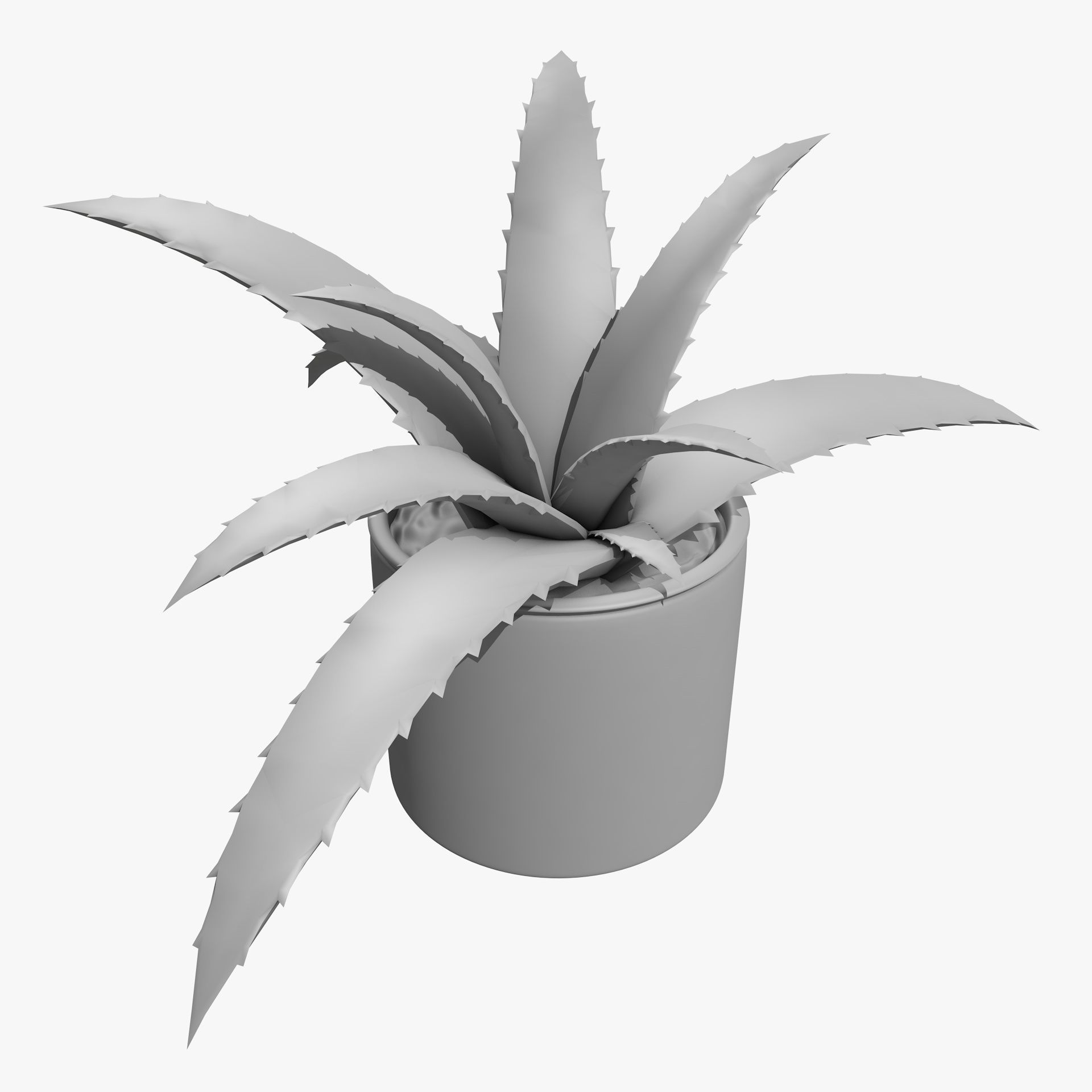 Interior Plants Aloe Vera Pothos Money Plant Pot Low-poly 3D model_11