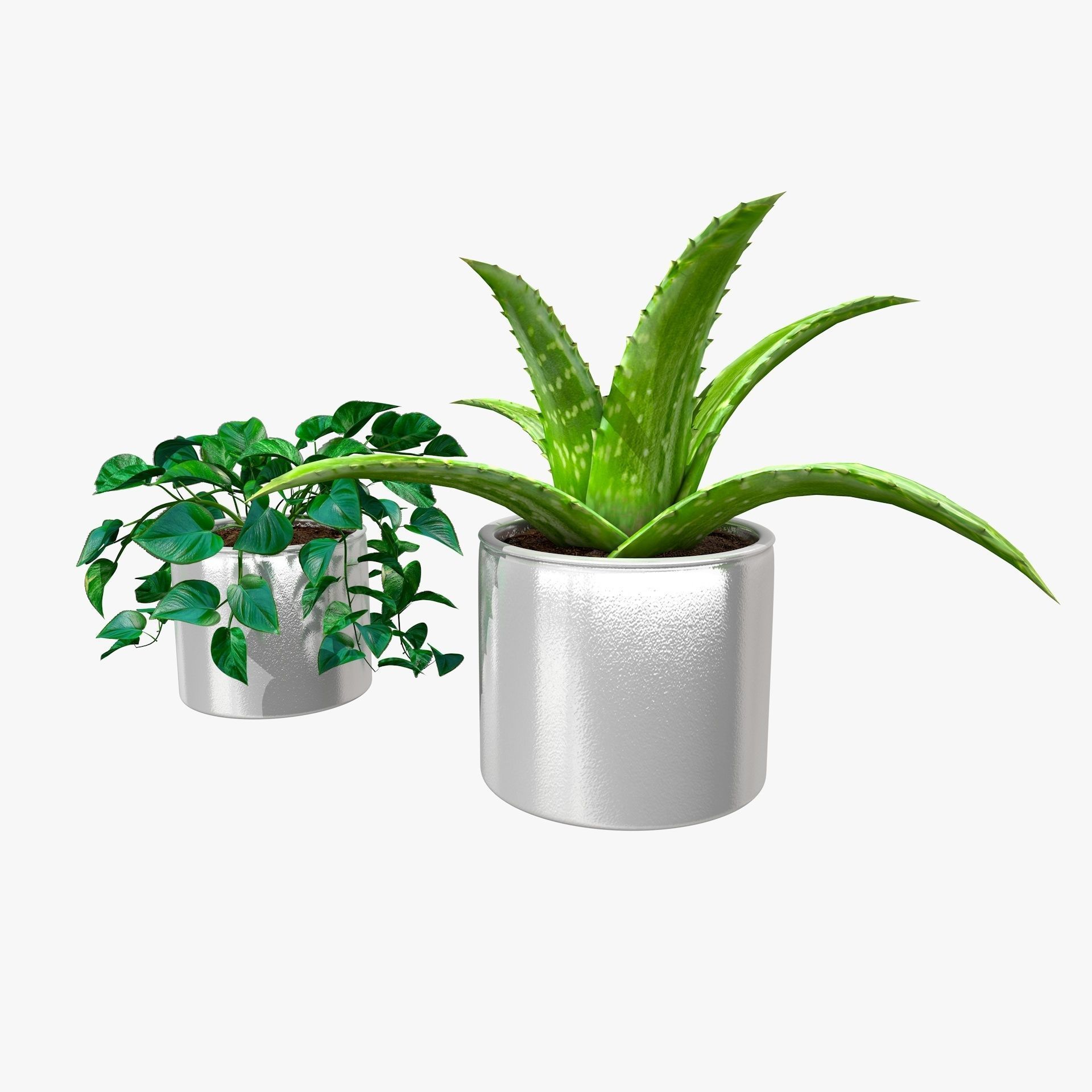Interior Plants Aloe Vera Pothos Money Plant Pot Low-poly 3D model_12