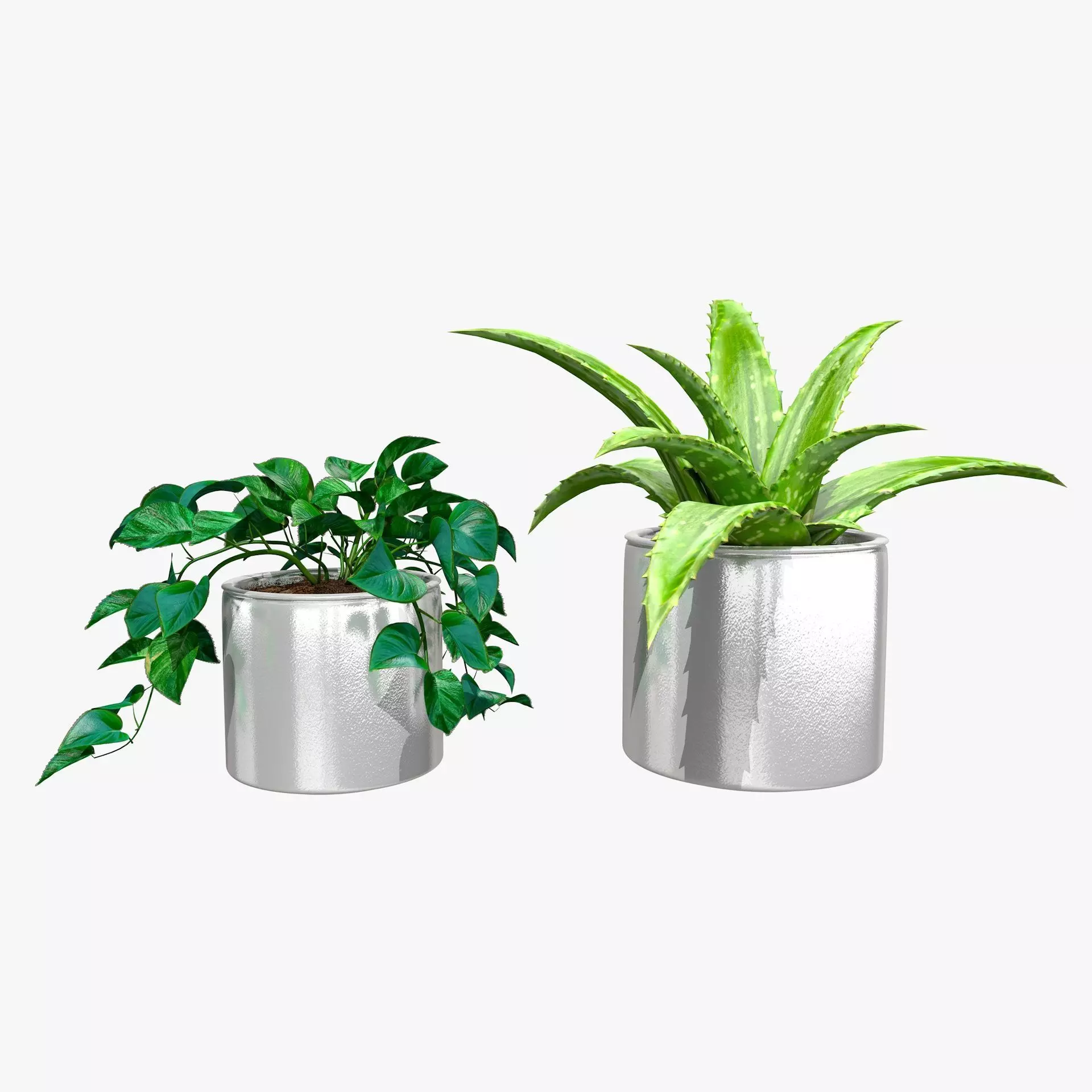 Interior Plants Aloe Vera Pothos Money Plant Pot Low-poly 3D model_0