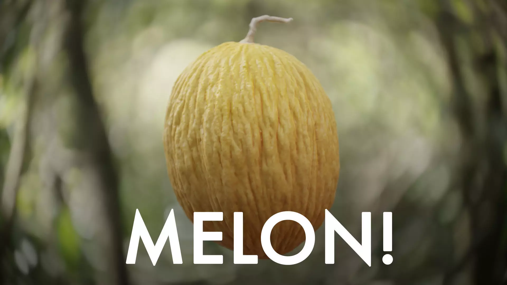 Melon 001 - Photoscanned Low-poly 3D model