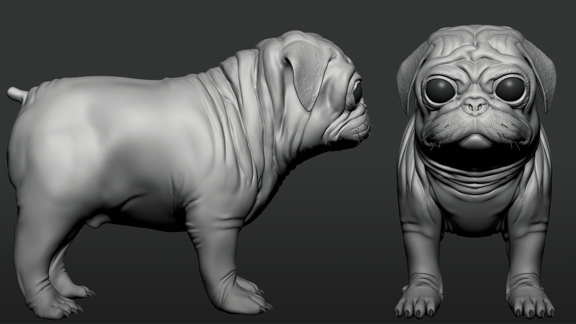 Pug Dog 3D model_2