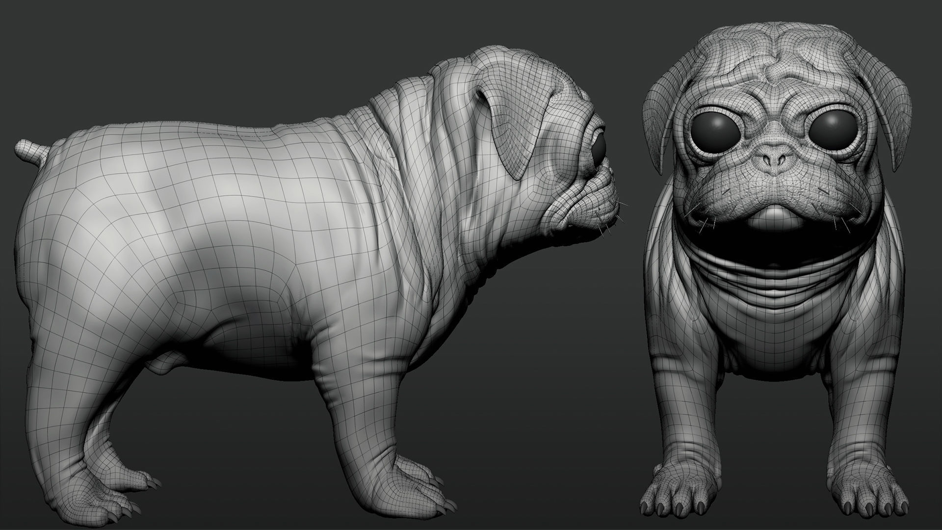 Pug Dog 3D model_4