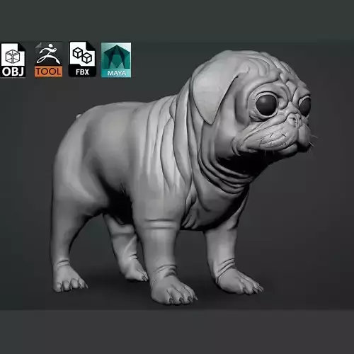 Pug Dog 3D model