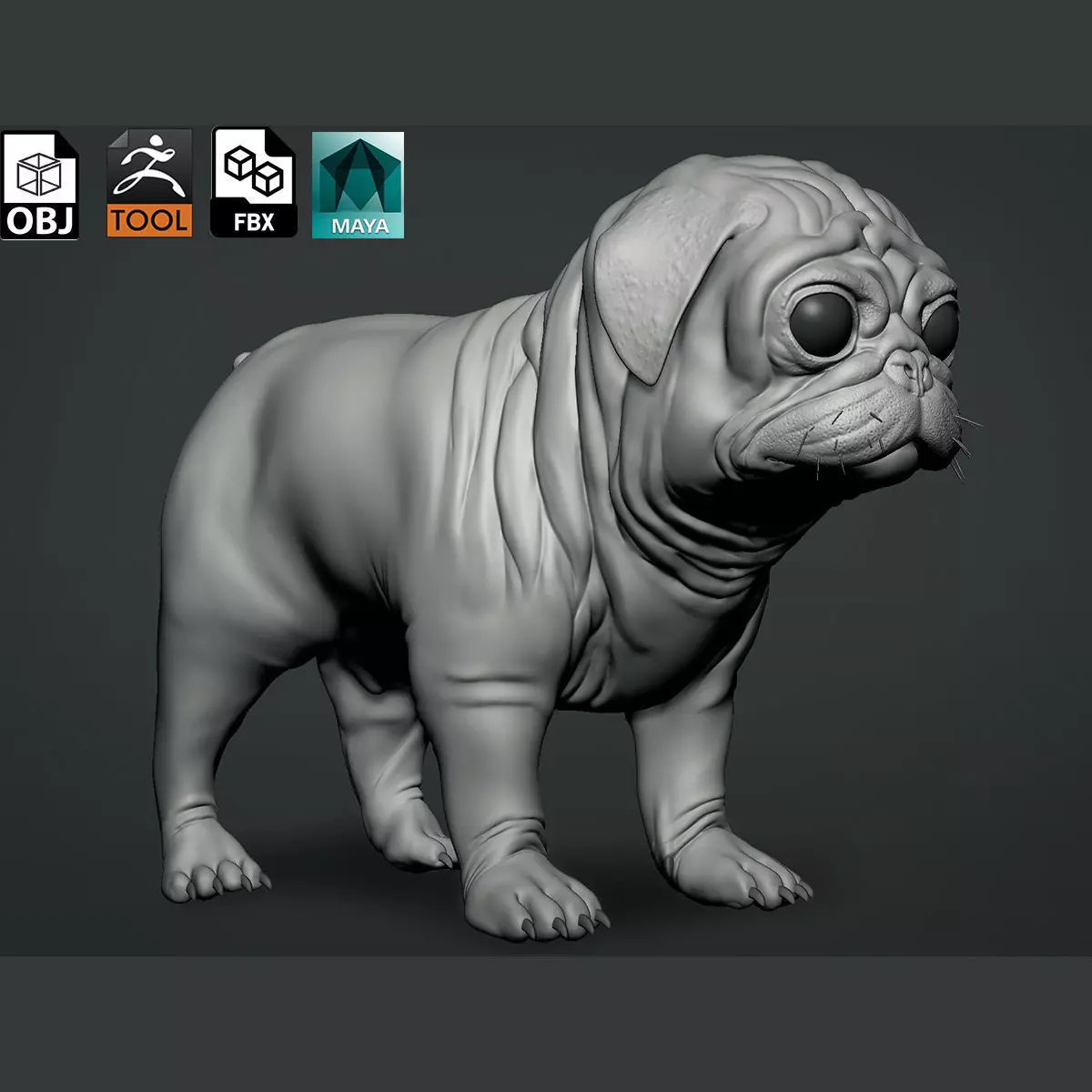 Pug Dog 3D model_0