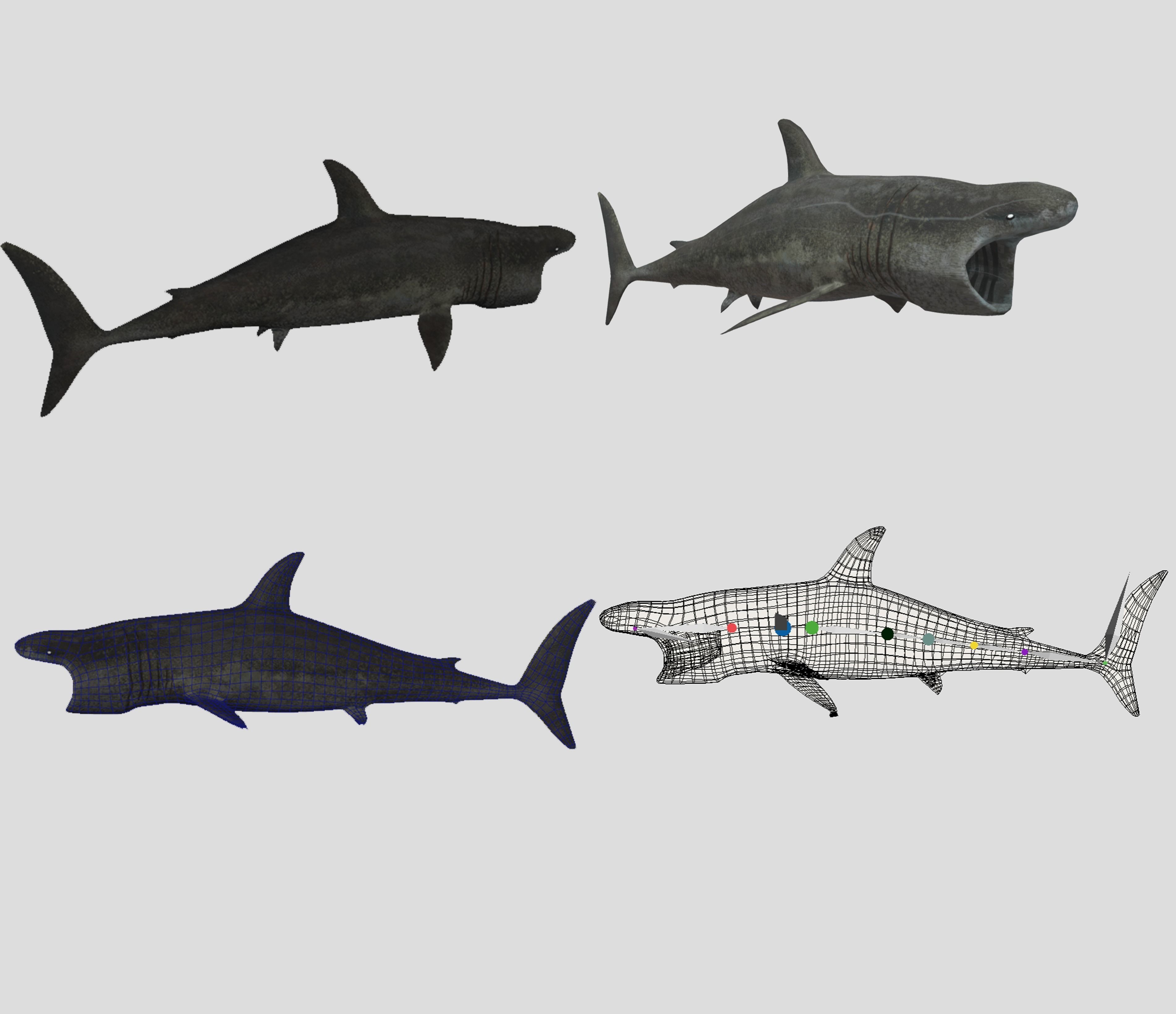 Big Fish Collection Animated - Game Ready Low-poly 3D model_17
