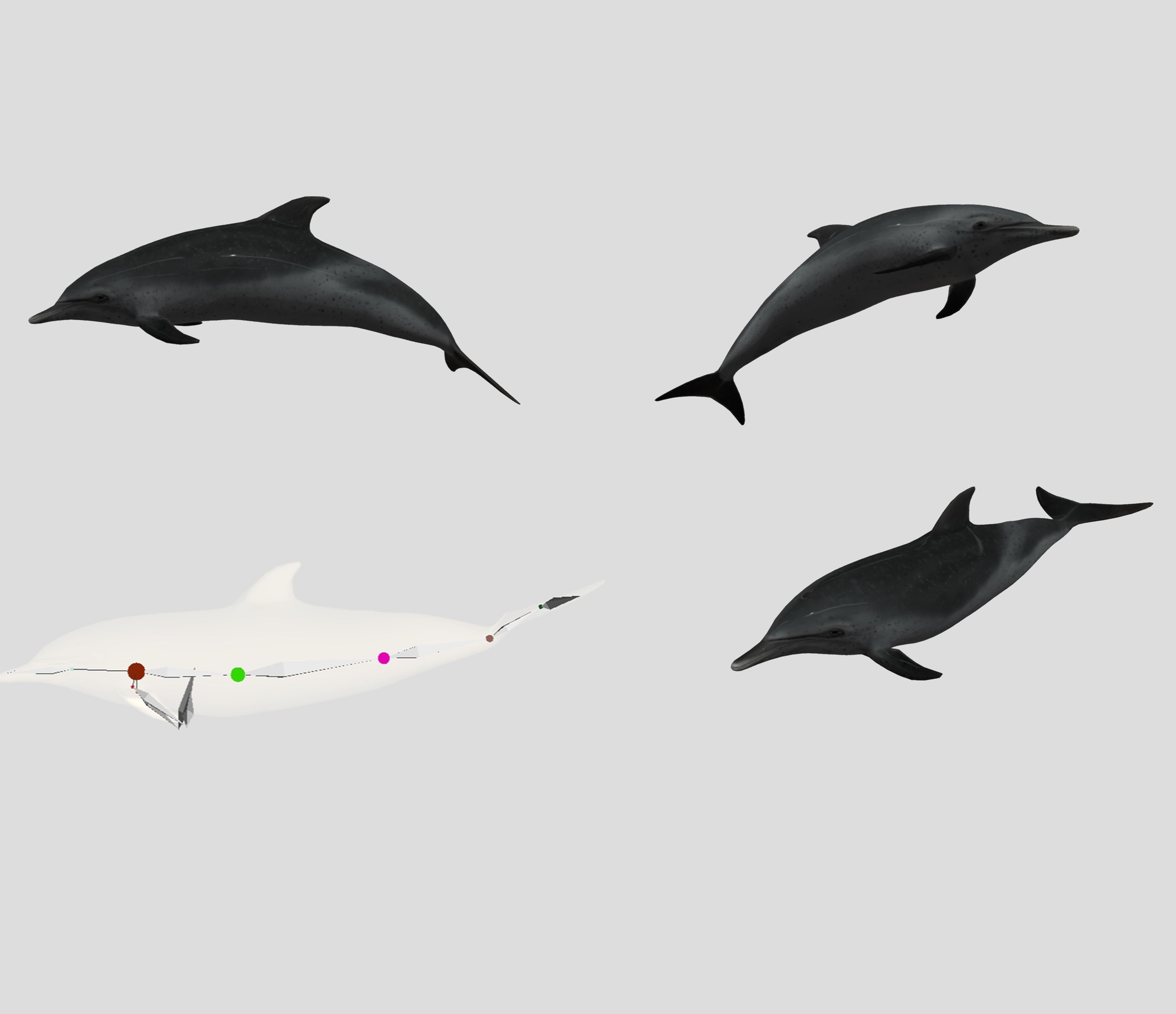 Big Fish Collection Animated - Game Ready Low-poly 3D model_18