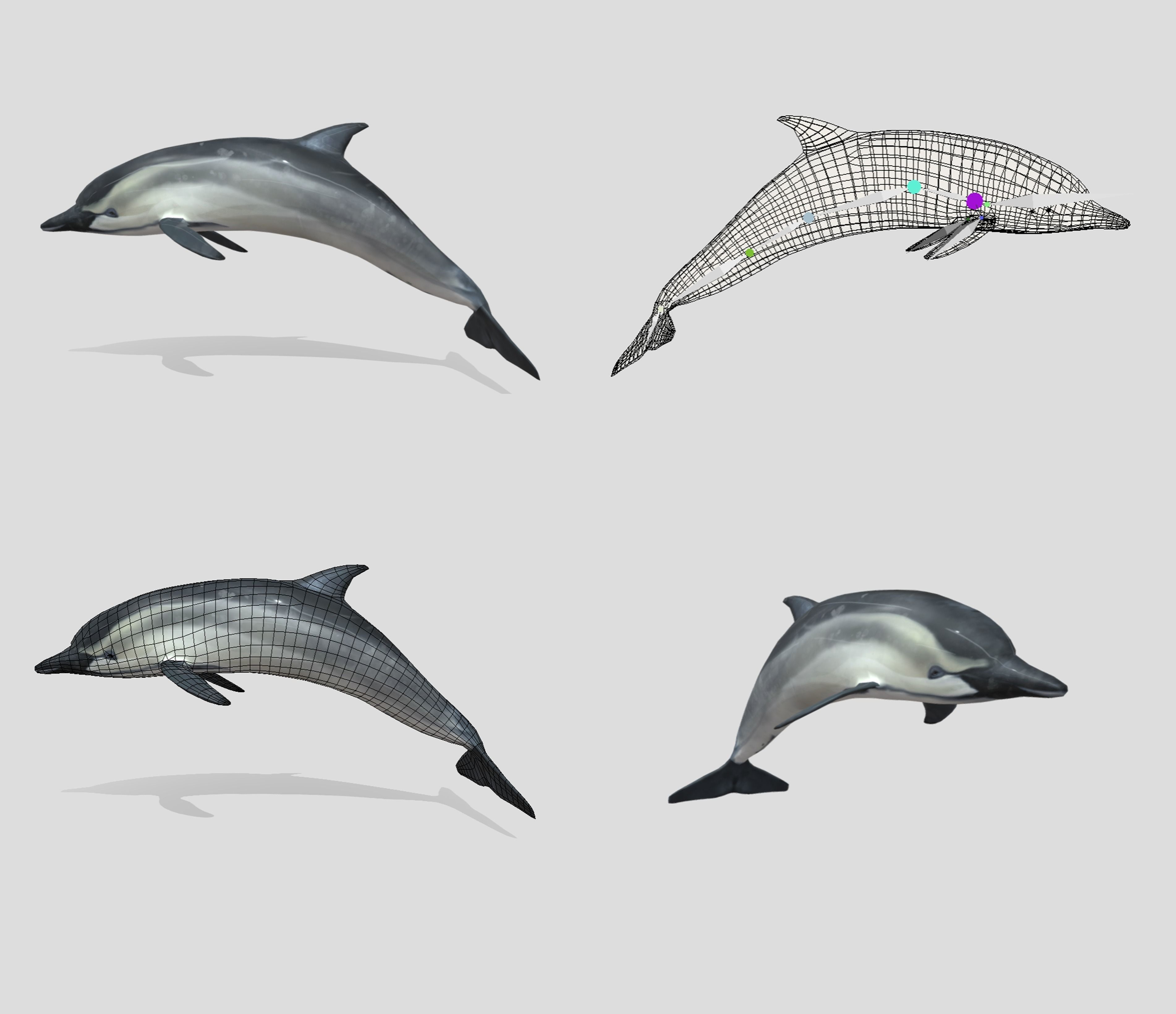 Big Fish Collection Animated - Game Ready Low-poly 3D model_13