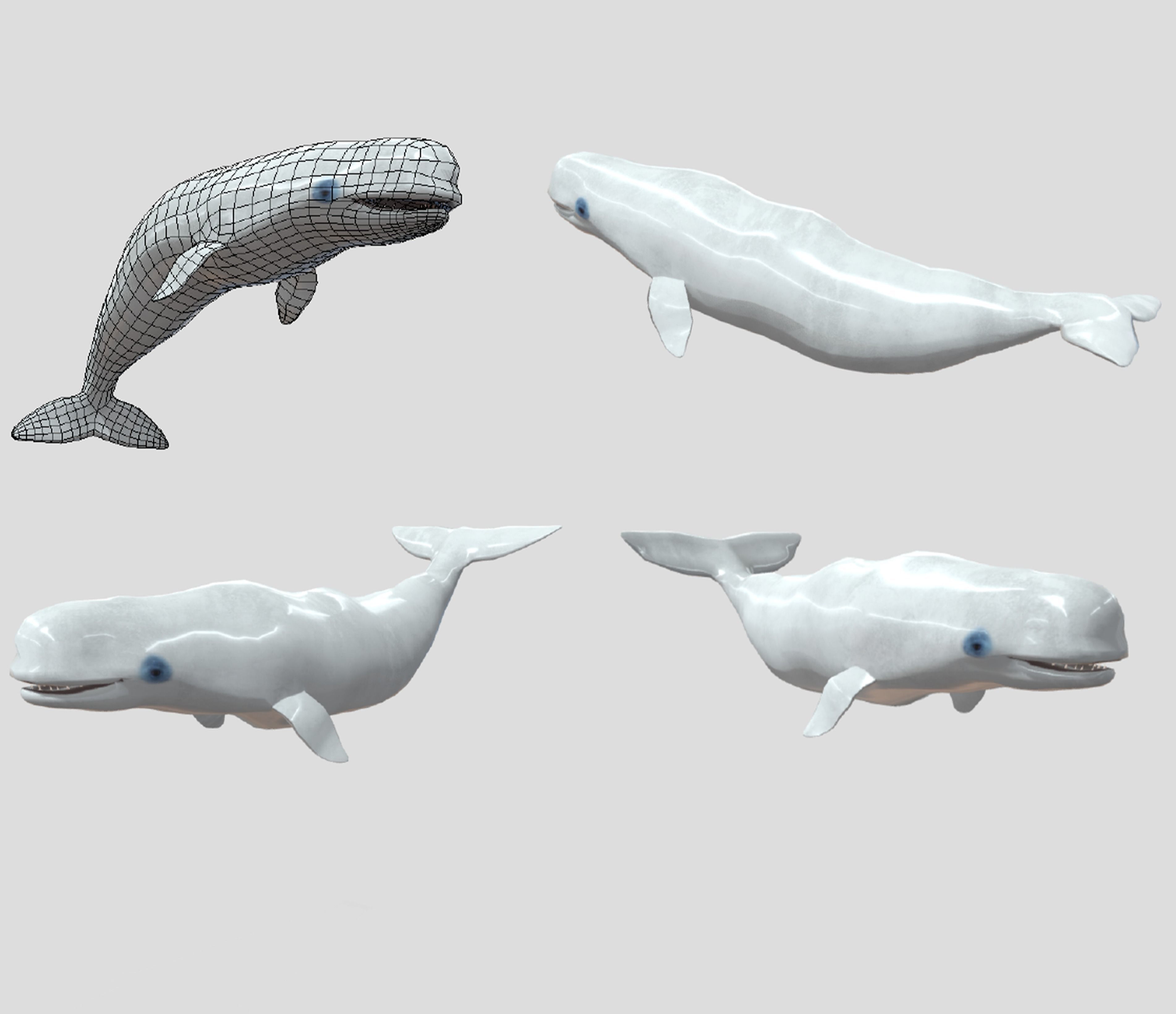 Big Fish Collection Animated - Game Ready Low-poly 3D model_16