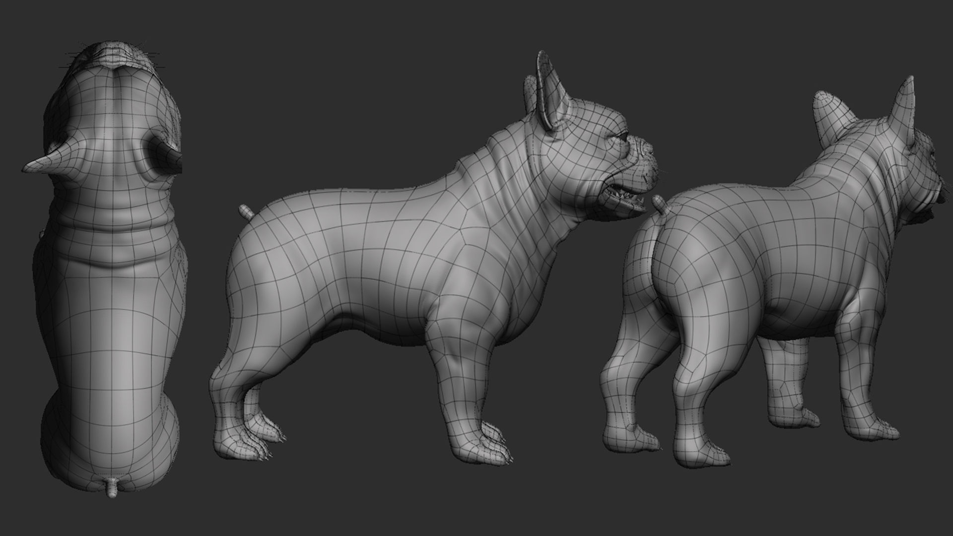 Mega Dog Pack 3D Model Collection_12