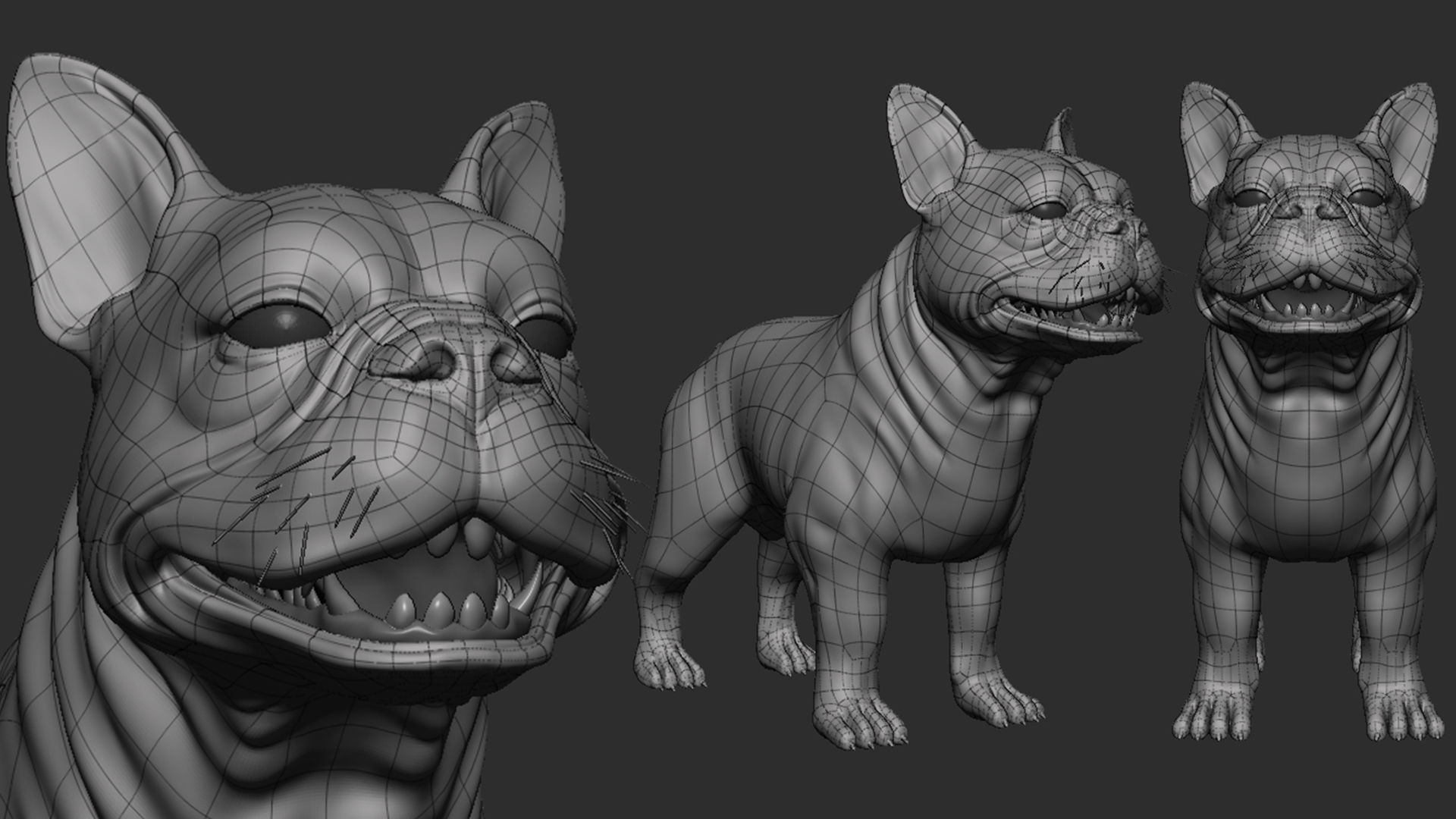 Mega Dog Pack 3D Model Collection_10