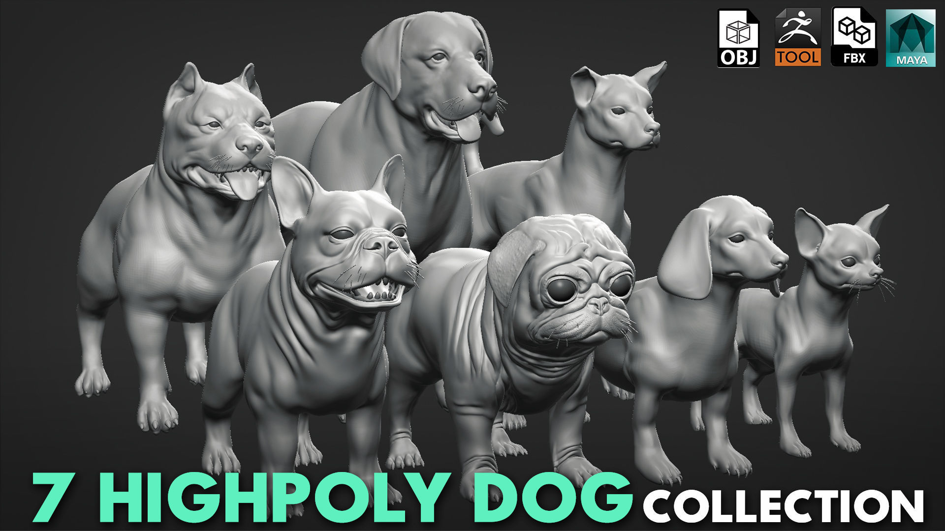 Mega Dog Pack 3D Model Collection_1
