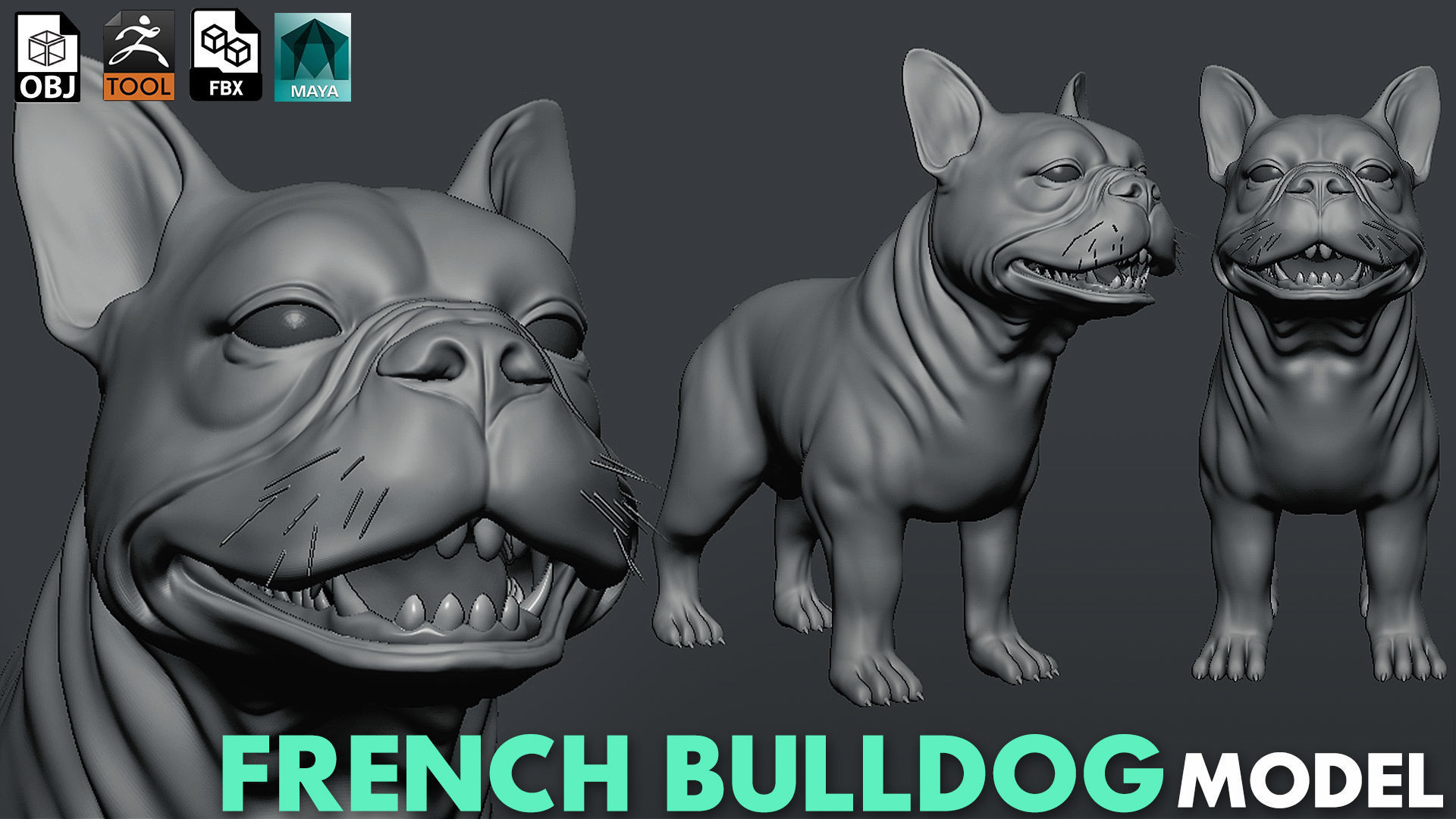 Mega Dog Pack 3D Model Collection_3