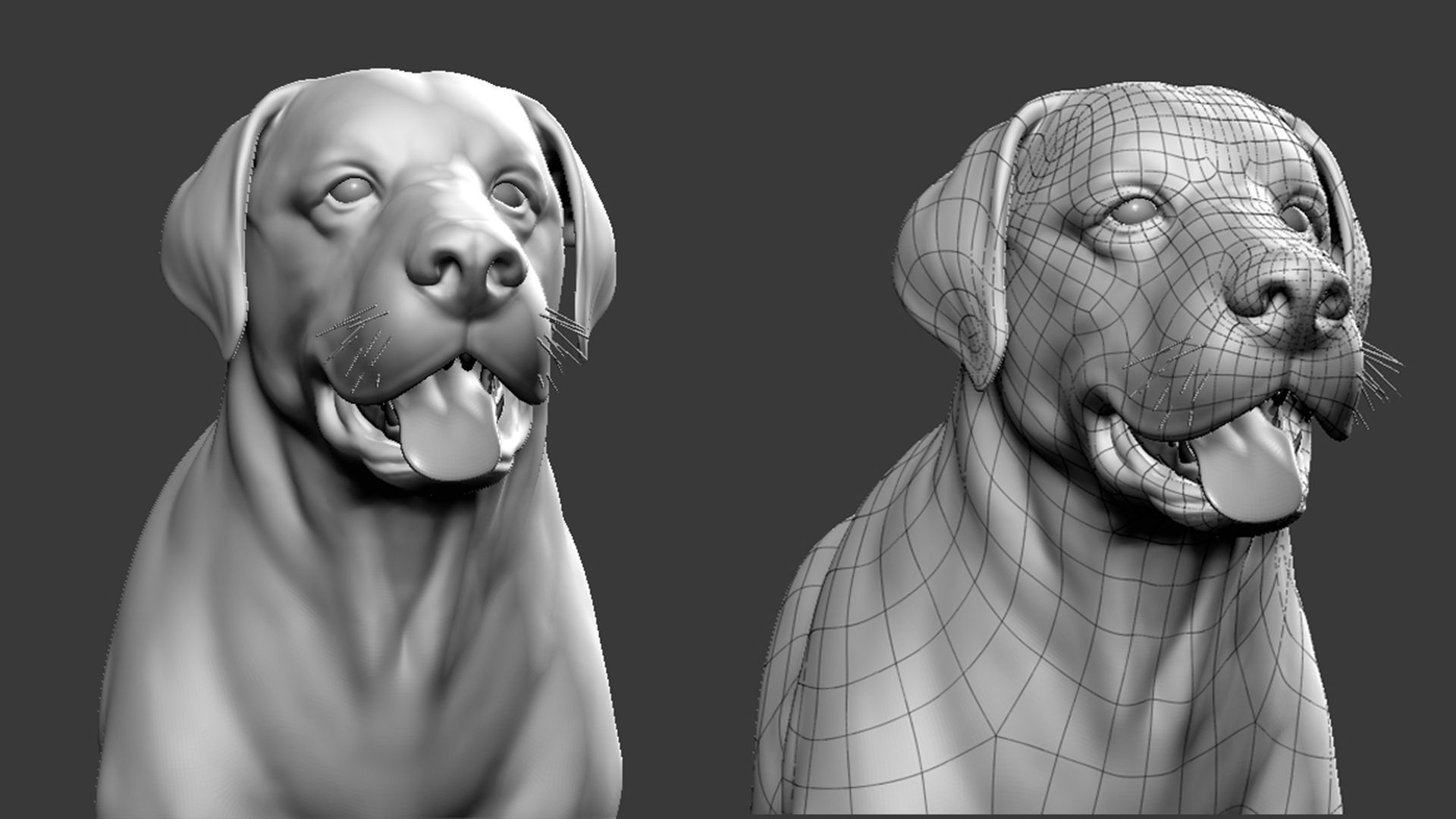Mega Dog Pack 3D Model Collection_29