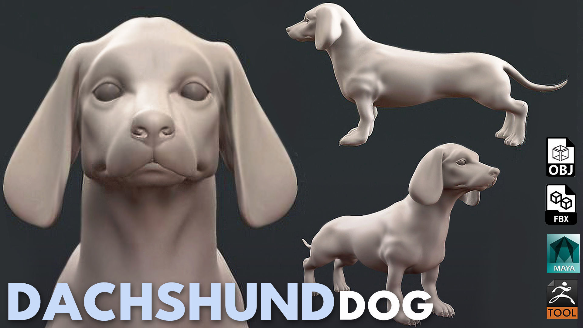 Mega Dog Pack 3D Model Collection_5