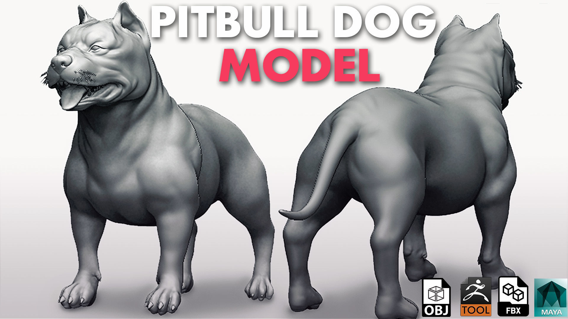 Mega Dog Pack 3D Model Collection_7