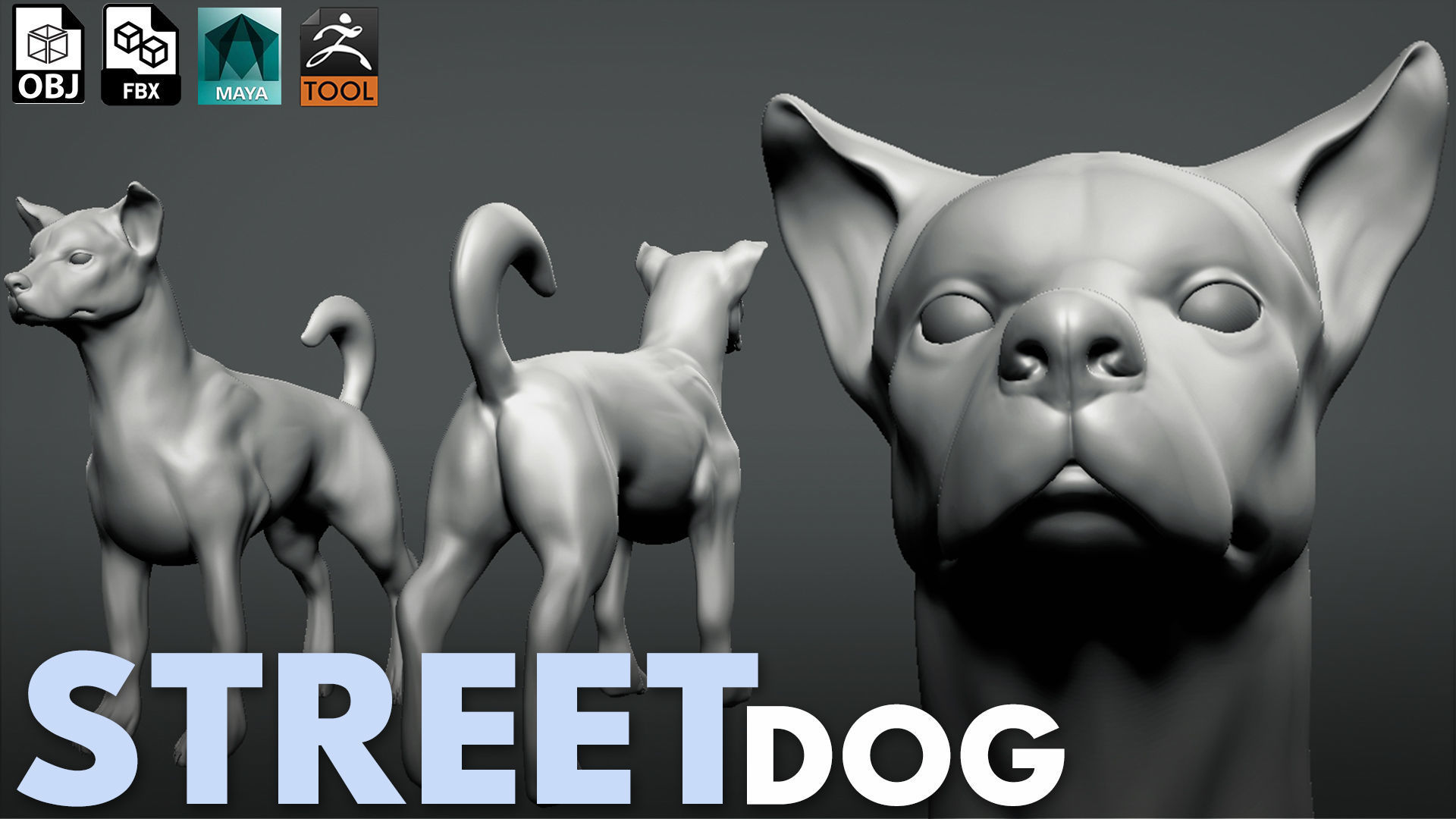 Mega Dog Pack 3D Model Collection_8