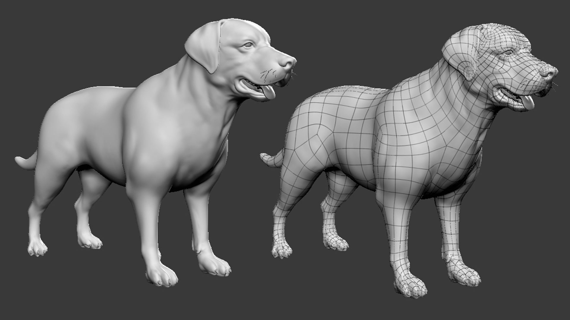 Mega Dog Pack 3D Model Collection_30