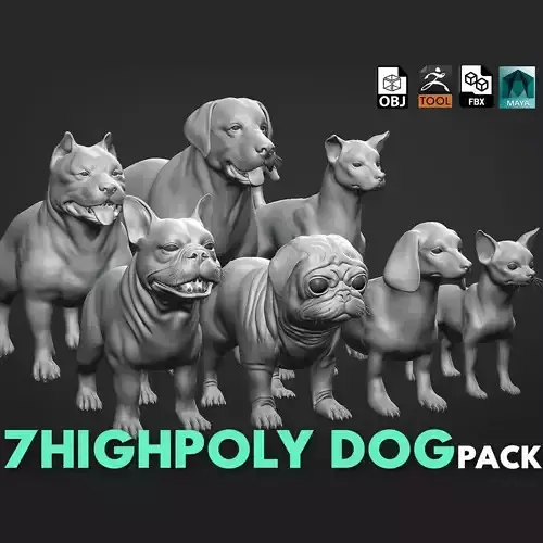 Mega Dog Pack 3D Model Collection