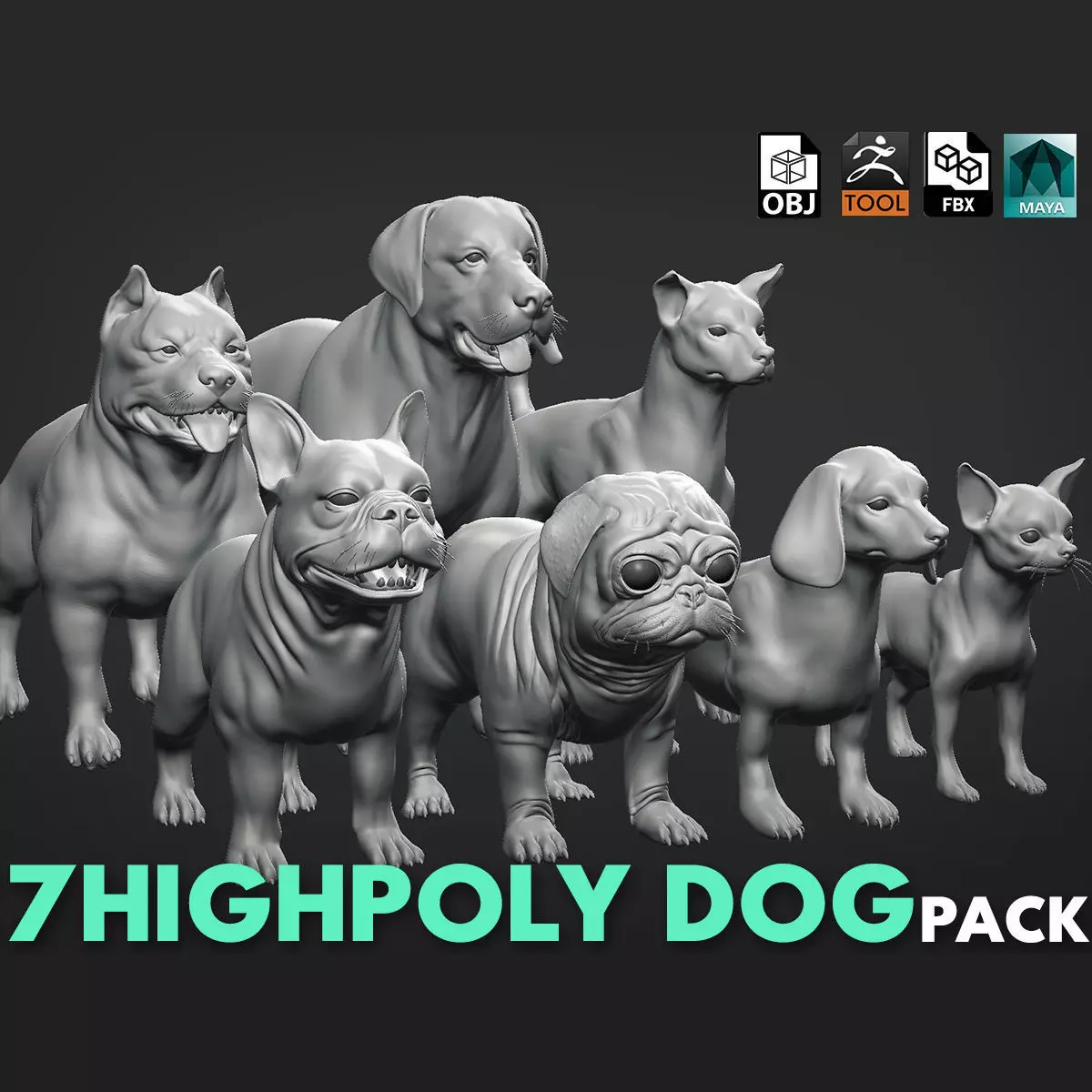 Mega Dog Pack 3D Model Collection_0