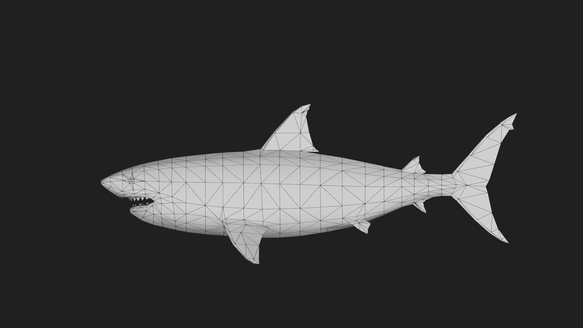 Shark Low-poly 3D model_1