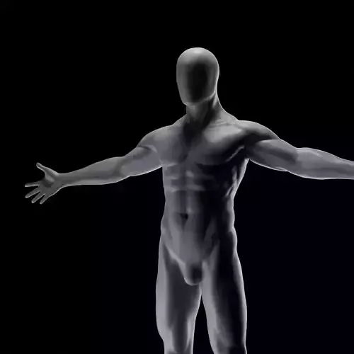 Basemesh body man