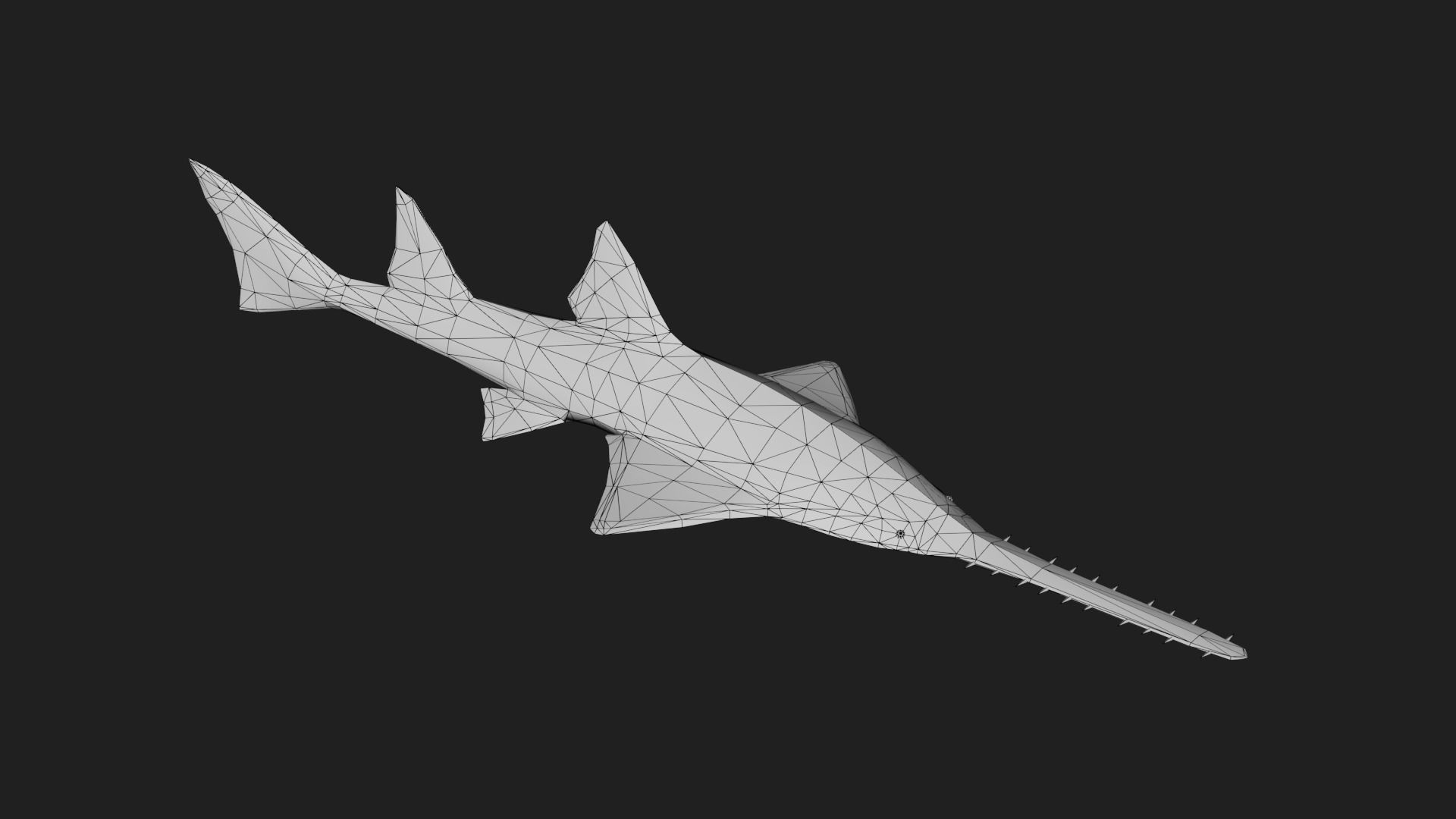 Knifetoothsawfish Low-poly 3D model_1