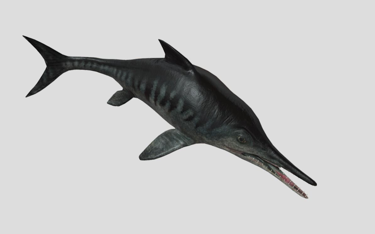 Ophthalmosaurus Realistic Animated Low-poly 3D model_10