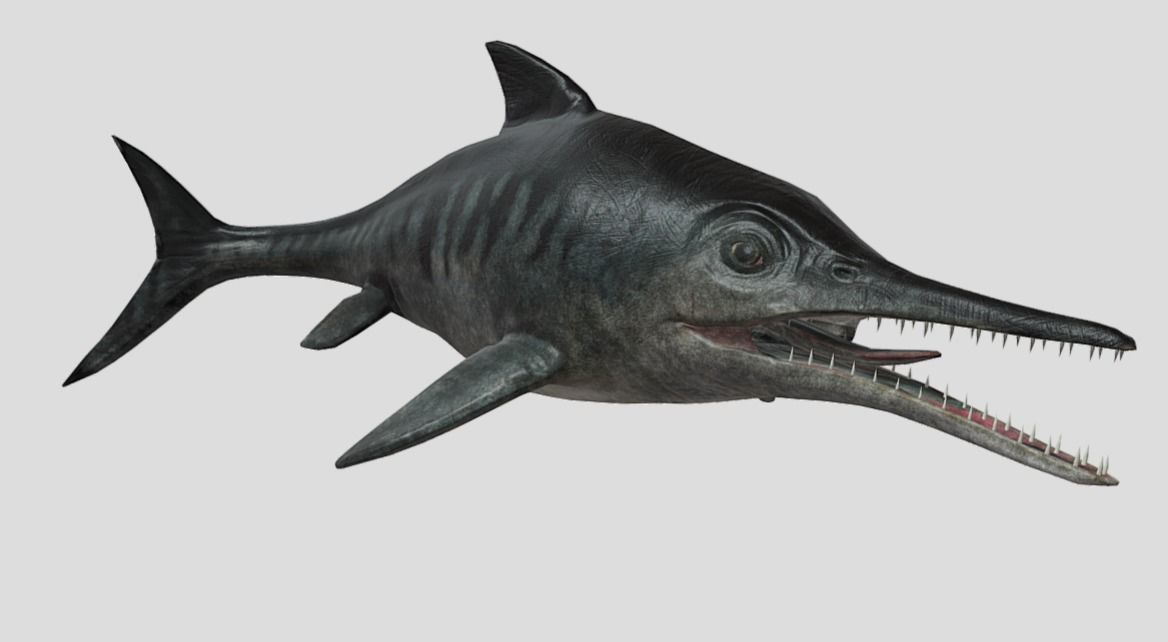 Ophthalmosaurus Realistic Animated Low-poly 3D model_7