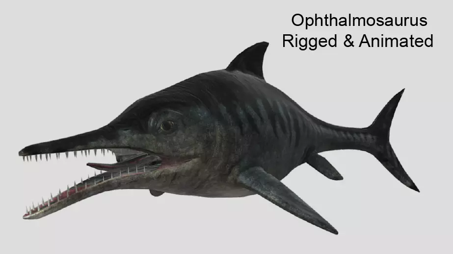 Ophthalmosaurus Realistic Animated Low-poly 3D model_0