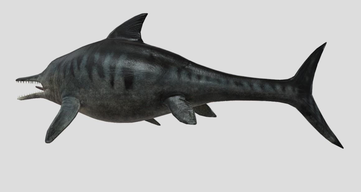 Ophthalmosaurus Realistic Animated Low-poly 3D model_3