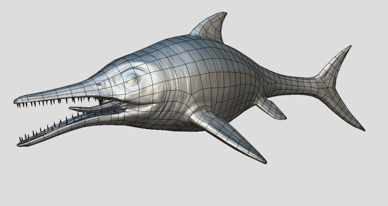 Ophthalmosaurus Realistic Animated Low-poly 3D model_19