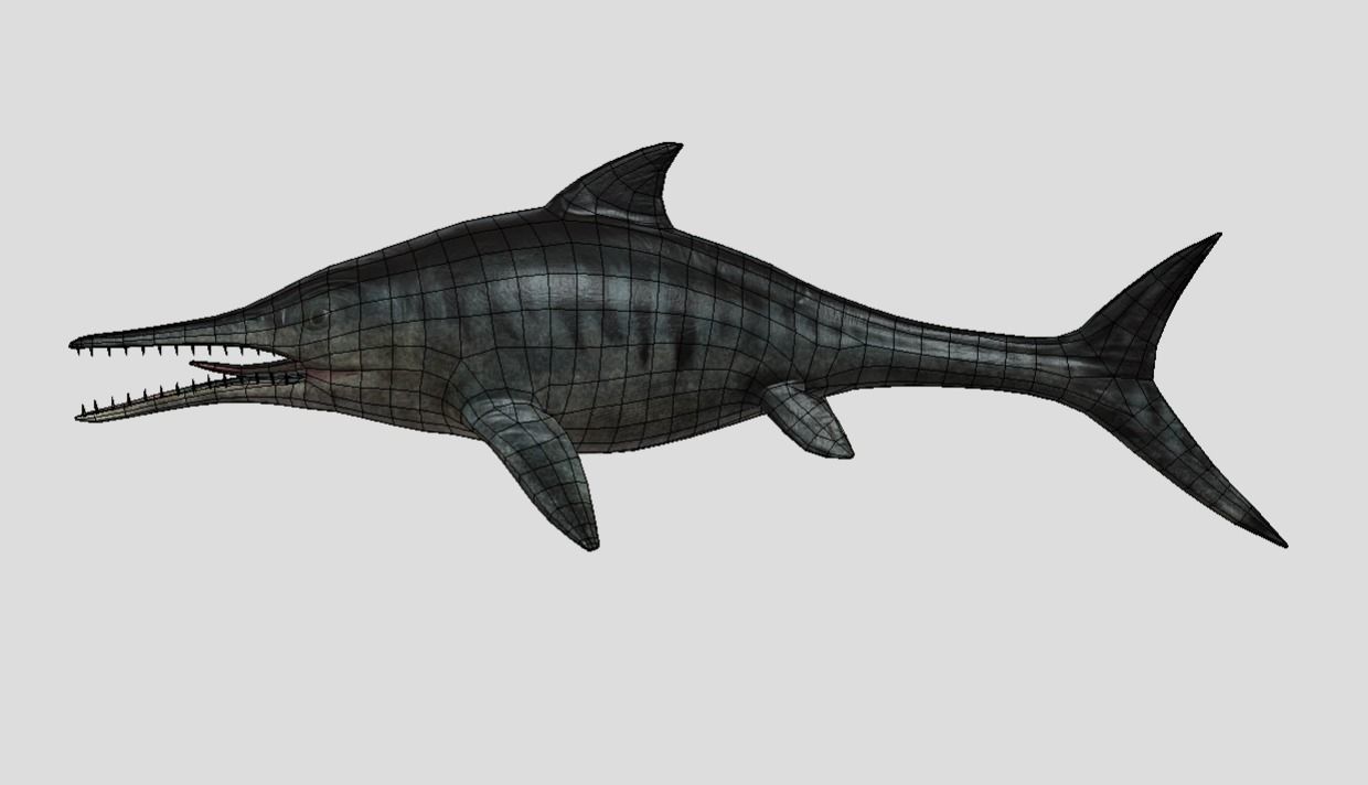Ophthalmosaurus Realistic Animated Low-poly 3D model_15