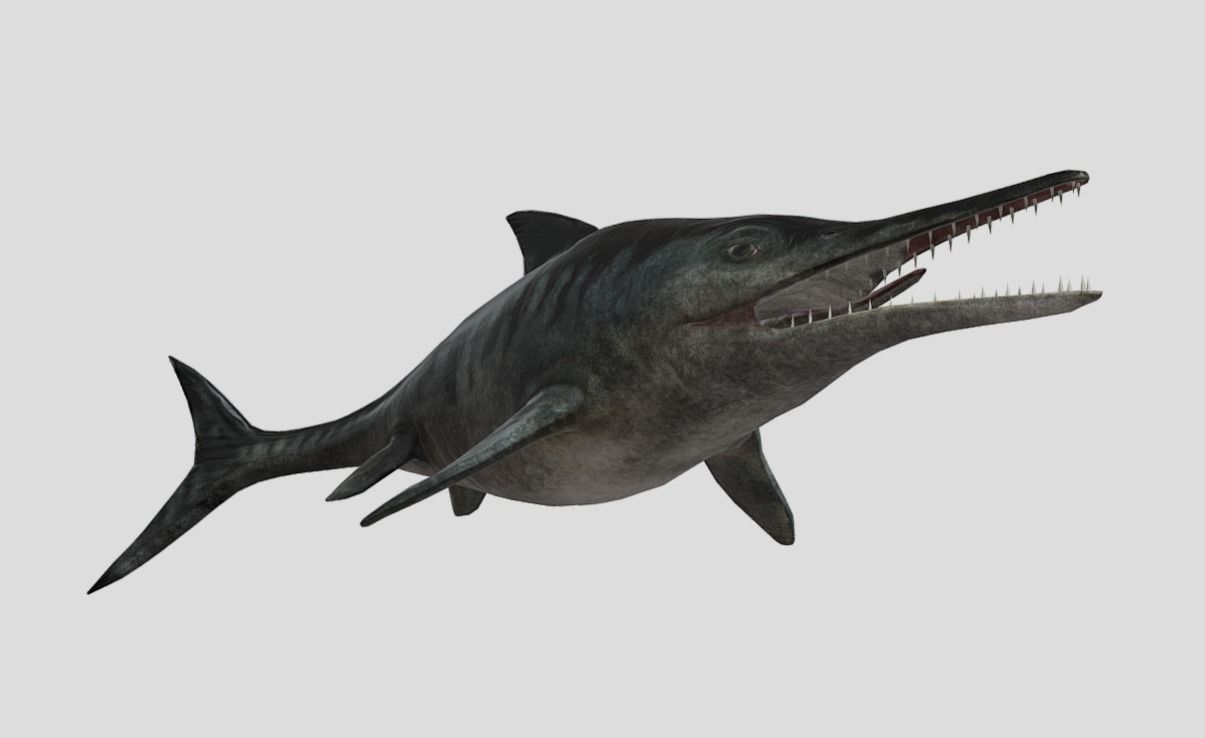 Ophthalmosaurus Realistic Animated Low-poly 3D model_9