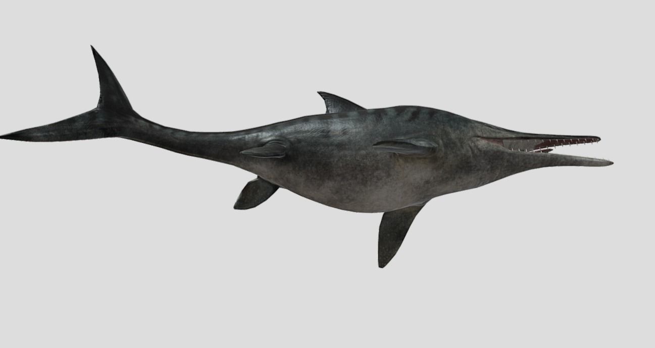 Ophthalmosaurus Realistic Animated Low-poly 3D model_11