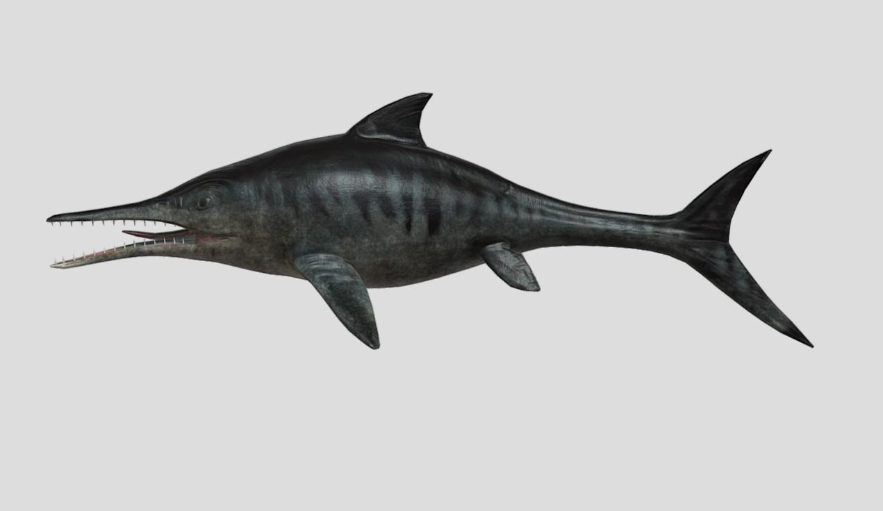 Ophthalmosaurus Realistic Animated Low-poly 3D model_5