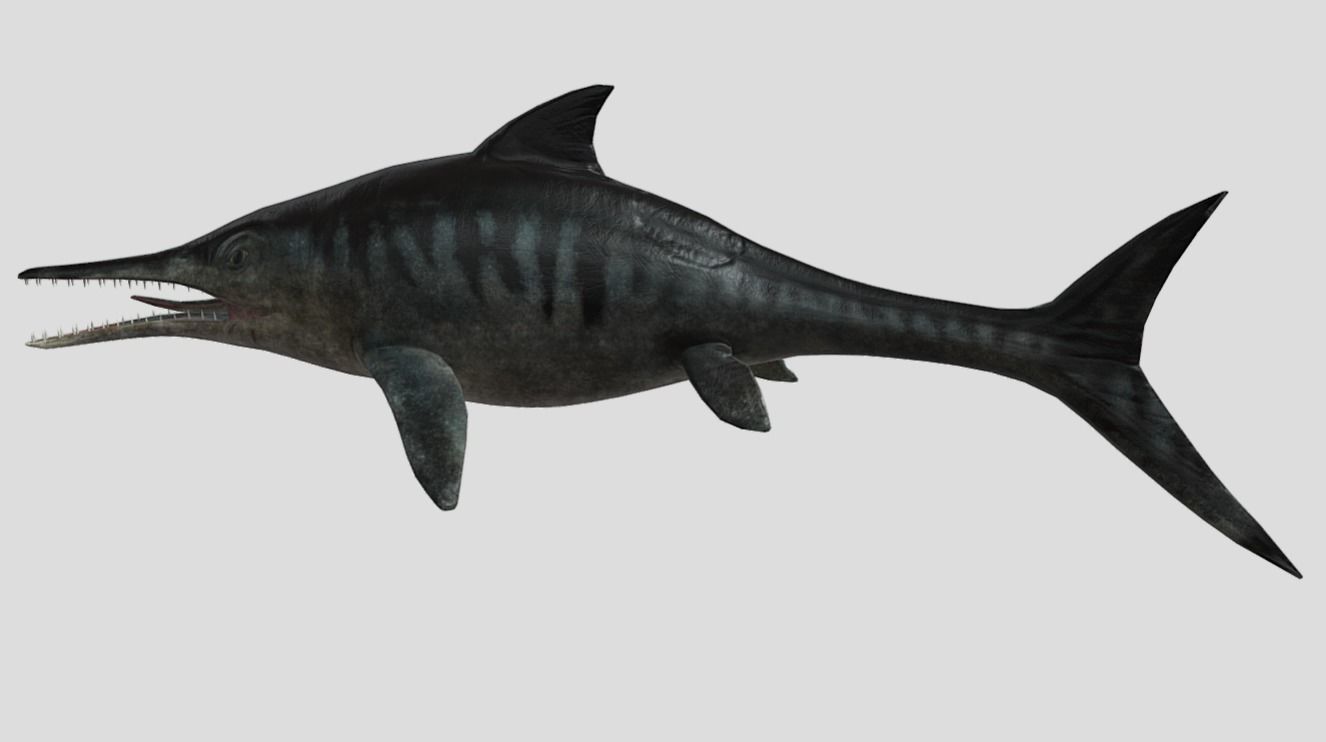 Ophthalmosaurus Realistic Animated Low-poly 3D model_14