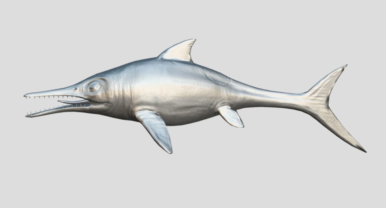 Ophthalmosaurus Realistic Animated Low-poly 3D model_16