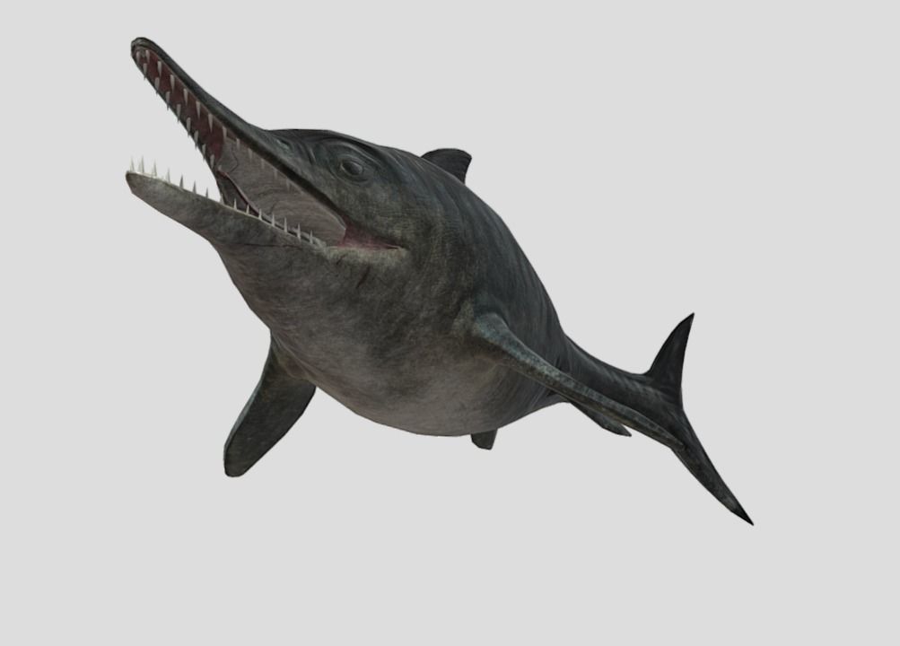 Ophthalmosaurus Realistic Animated Low-poly 3D model_8