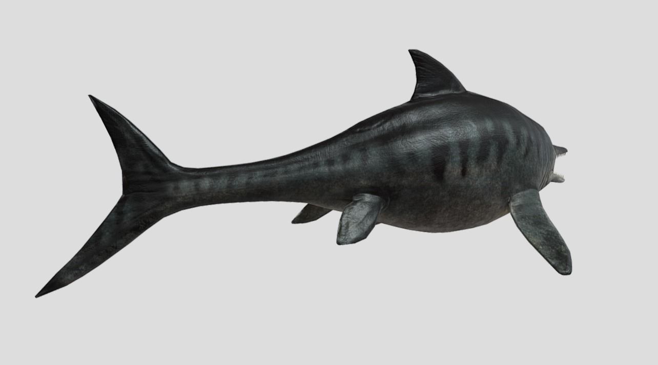 Ophthalmosaurus Realistic Animated Low-poly 3D model_6