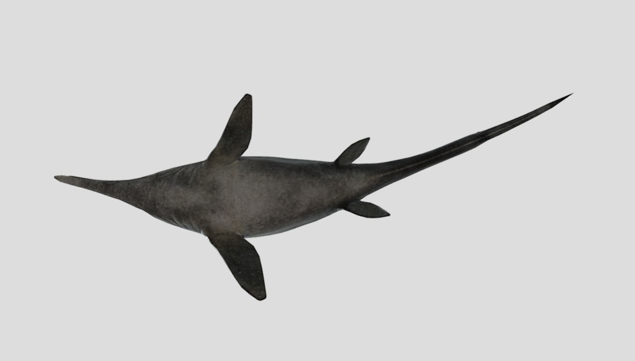 Ophthalmosaurus Realistic Animated Low-poly 3D model_18