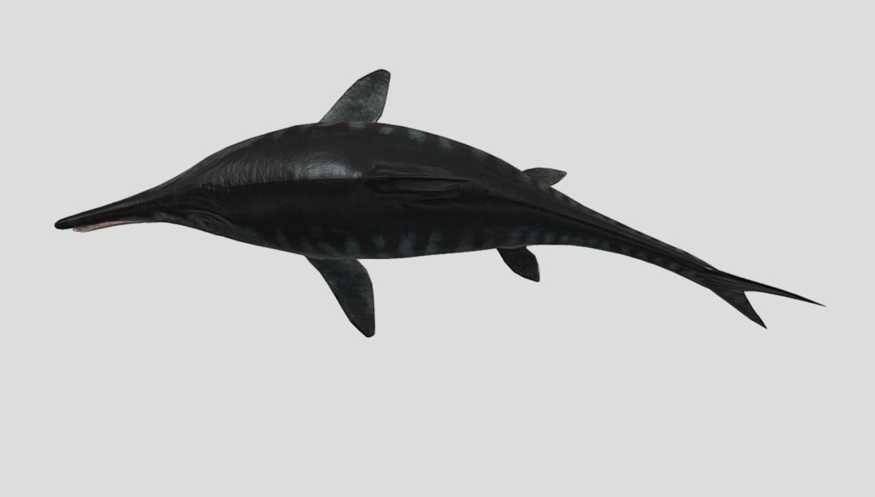 Ophthalmosaurus Realistic Animated Low-poly 3D model_17