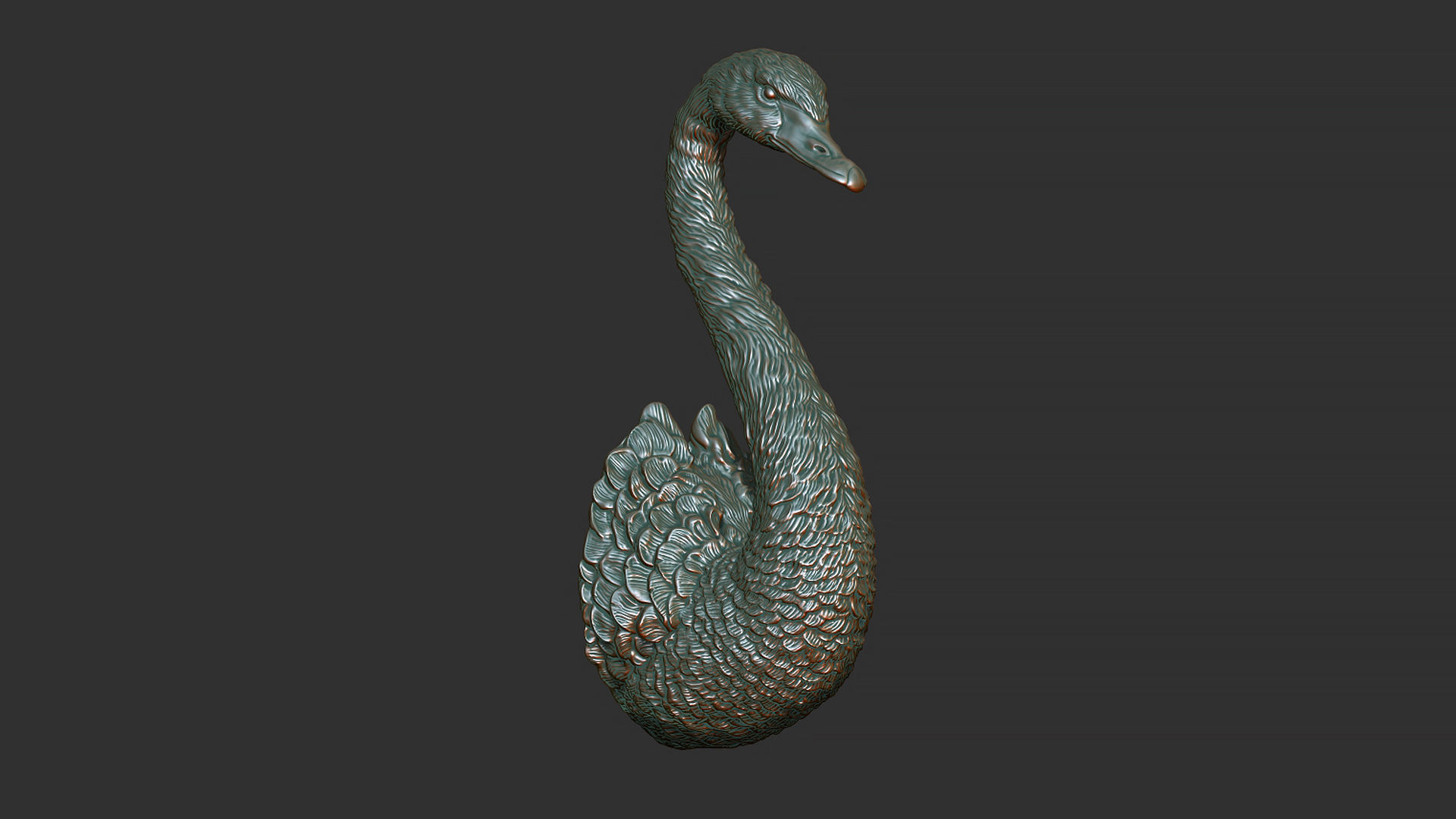 Black swan 3D print model_2