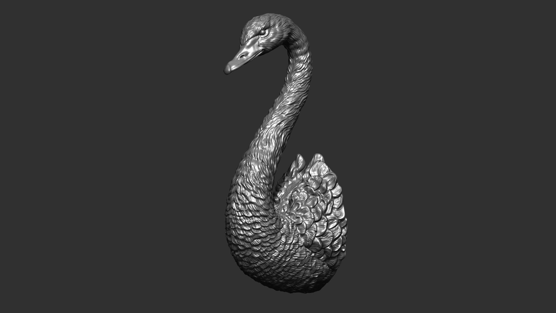 Black swan 3D print model_10