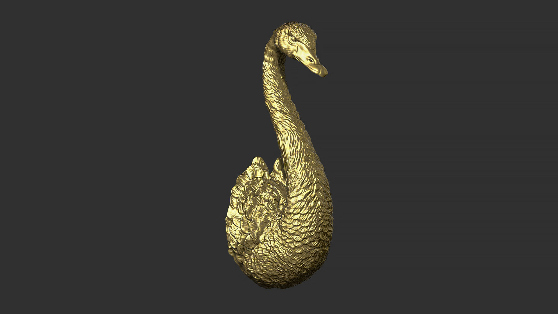 Black swan 3D print model_8