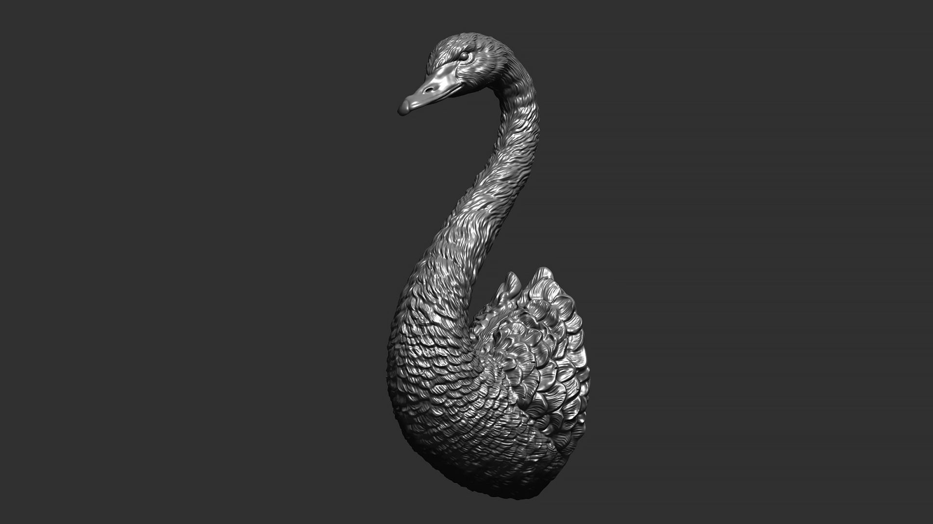 Black swan 3D print model_11