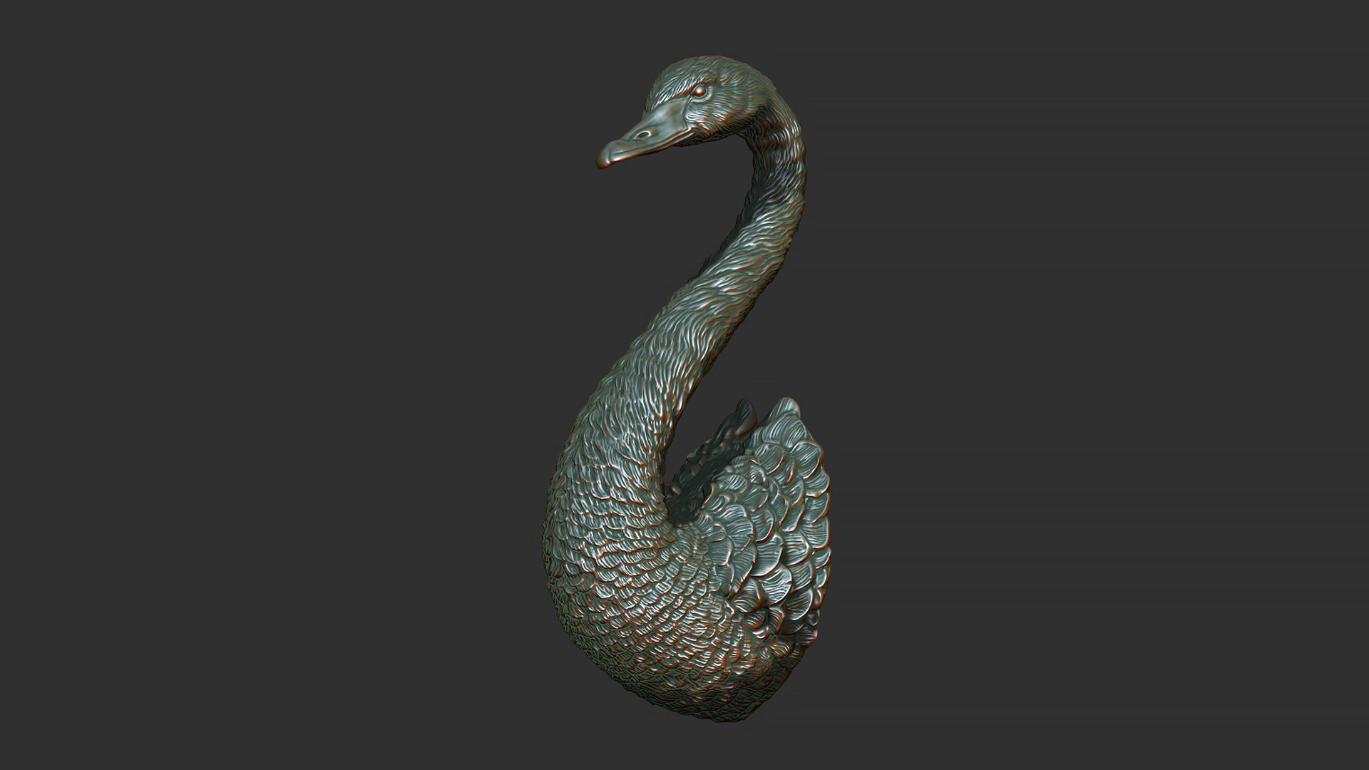 Black swan 3D print model_1