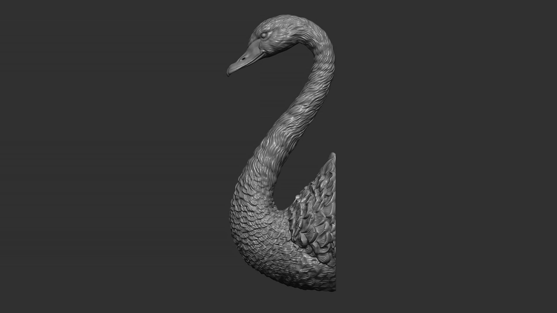 Black swan 3D print model_14